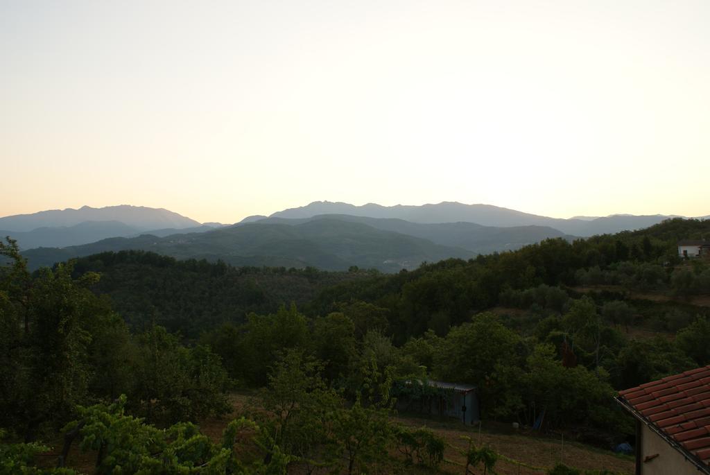 Casa Stefania Daire Lorano Oda fotoğraf